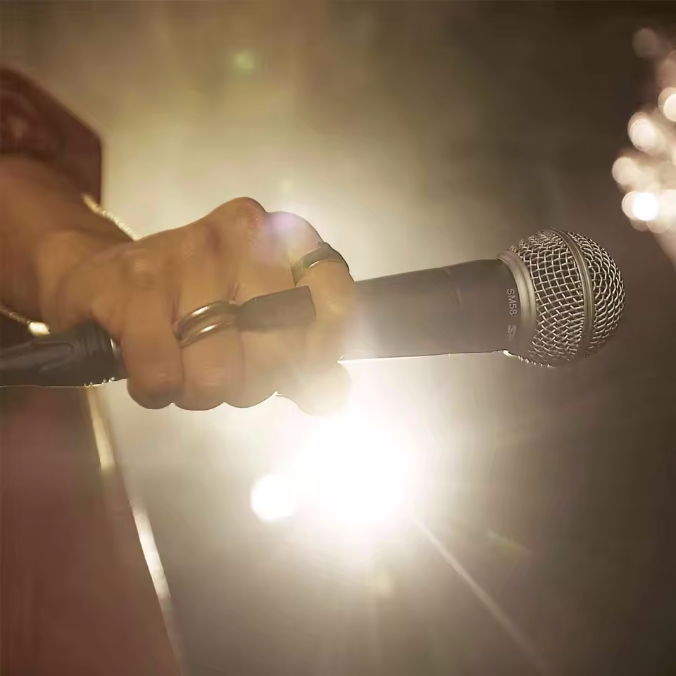 Karaoke Dynamic Microphone Pro - đánh giá và giá Pc Gaming Live Streaming